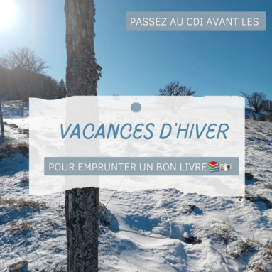 vacances hiver miniature.png