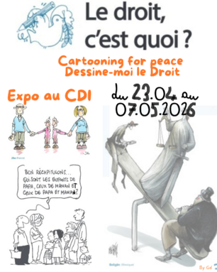 affiche expo droit CDI.png